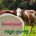 Top Sale 100% Pure Dry Yeast For Animal Feed